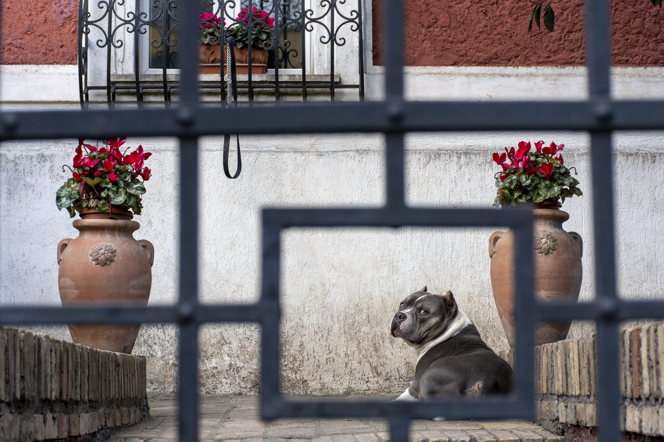 Streets of Pigneto